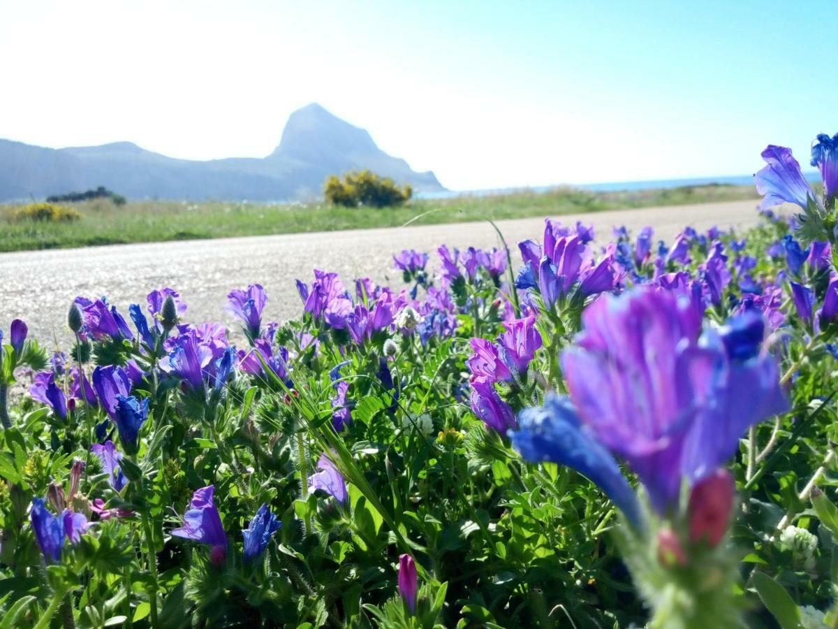 Karma B&B San Vito Lo Capo Buitenkant foto